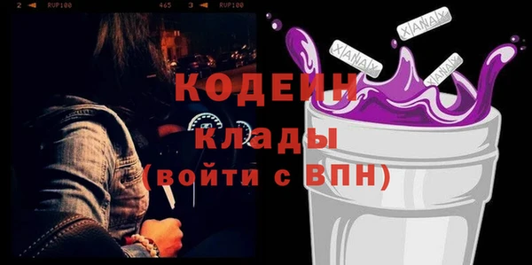 шишки Сосновый Бор