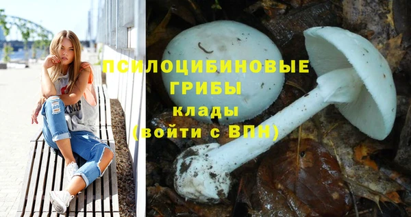 apvp Баксан