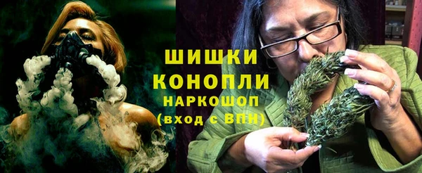 шишки Сосновый Бор